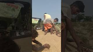 #deshi