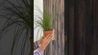 Easy DIY Planter 🍀 #diy #diycraft #diyideas #balkon #diyvideos #garten #diyprojects #plants