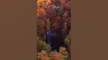 Master cadre science official answer key || Link in description || all subjects #mastercadrescience