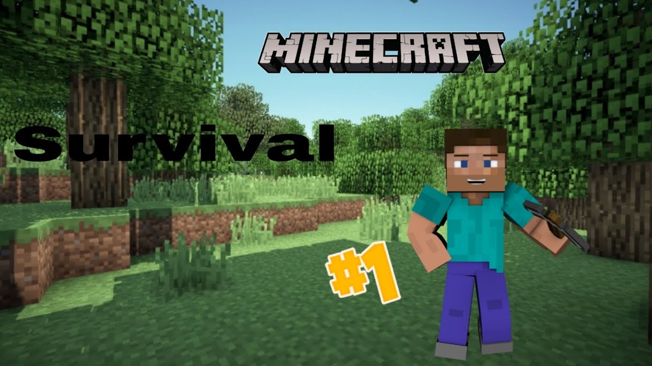 My first survival series part 1 - YouTube
