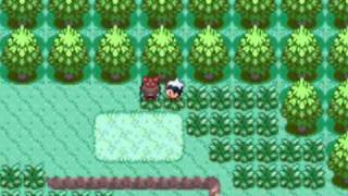 Pokémon Ruby Walktrough episode 1 Treecko I Choose You