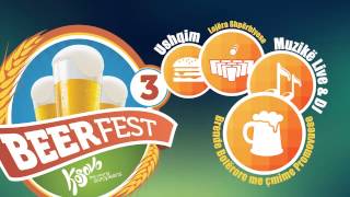 BeerFest 2013