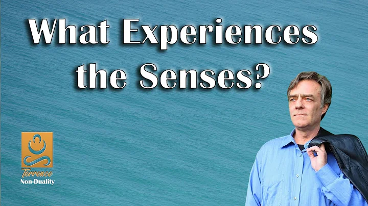 What Experiences the Senses? - Non duality with Te...