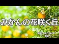 みかんの花咲く丘 童謡 懐かしい歌