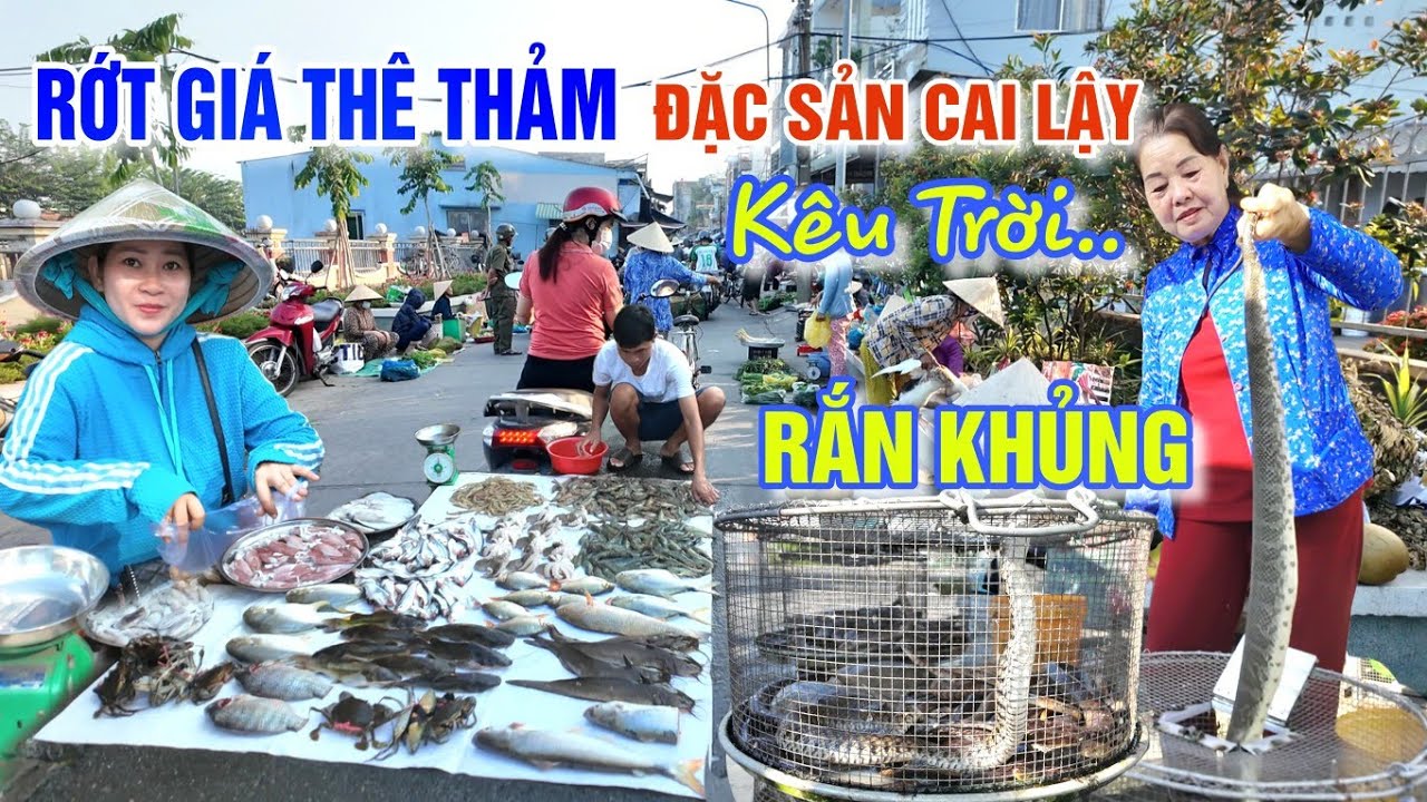 THÓT TIM LẠC VÀO Ổ RẮN QUÁ LỚN Ở CHỢ CAI LẬY - SẦU RIÊNG RỚT GIÁ THÊ THẢM BÀ CON KÊU TRỜI