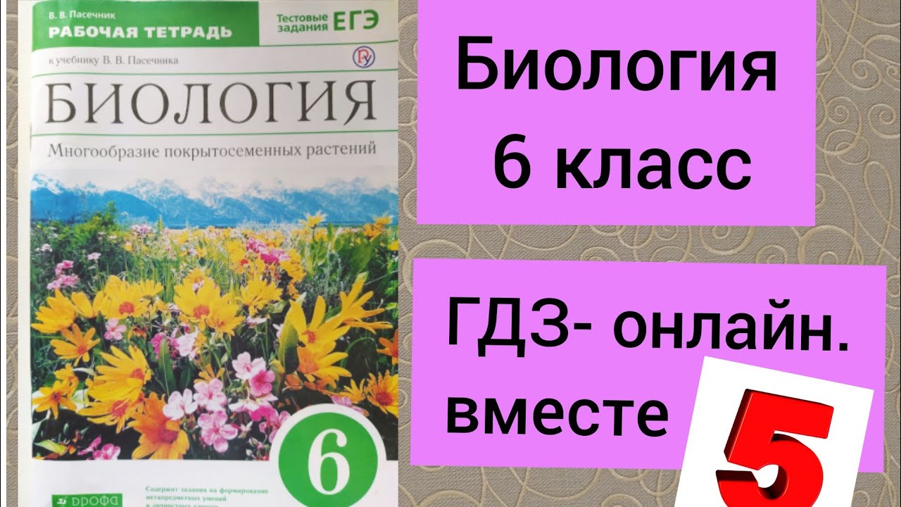 ГДЗ.Биология.§29. 6 Класс.Рабочая Тетрадь. Пасечник. - YouTube
