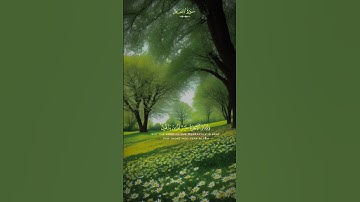 سورة الأنعام #قران_كريم #اكسبلور #الرحمن #دويتو #حالات_واتس #duet #لايك #راحة_نفسية #تيك_توك