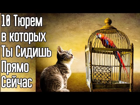 Как стать свободным?  Как стать независимым от людей? Как стать свободной личностью?