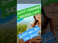 تطبيق يشتغل على الاندرويد بأنواعه مجرب شغال مواطن  