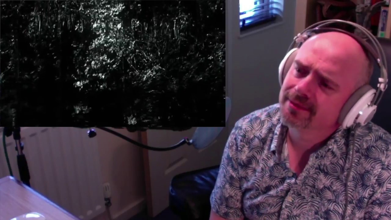 Negură Bunget - Dacia hiperboreană (Reaction)