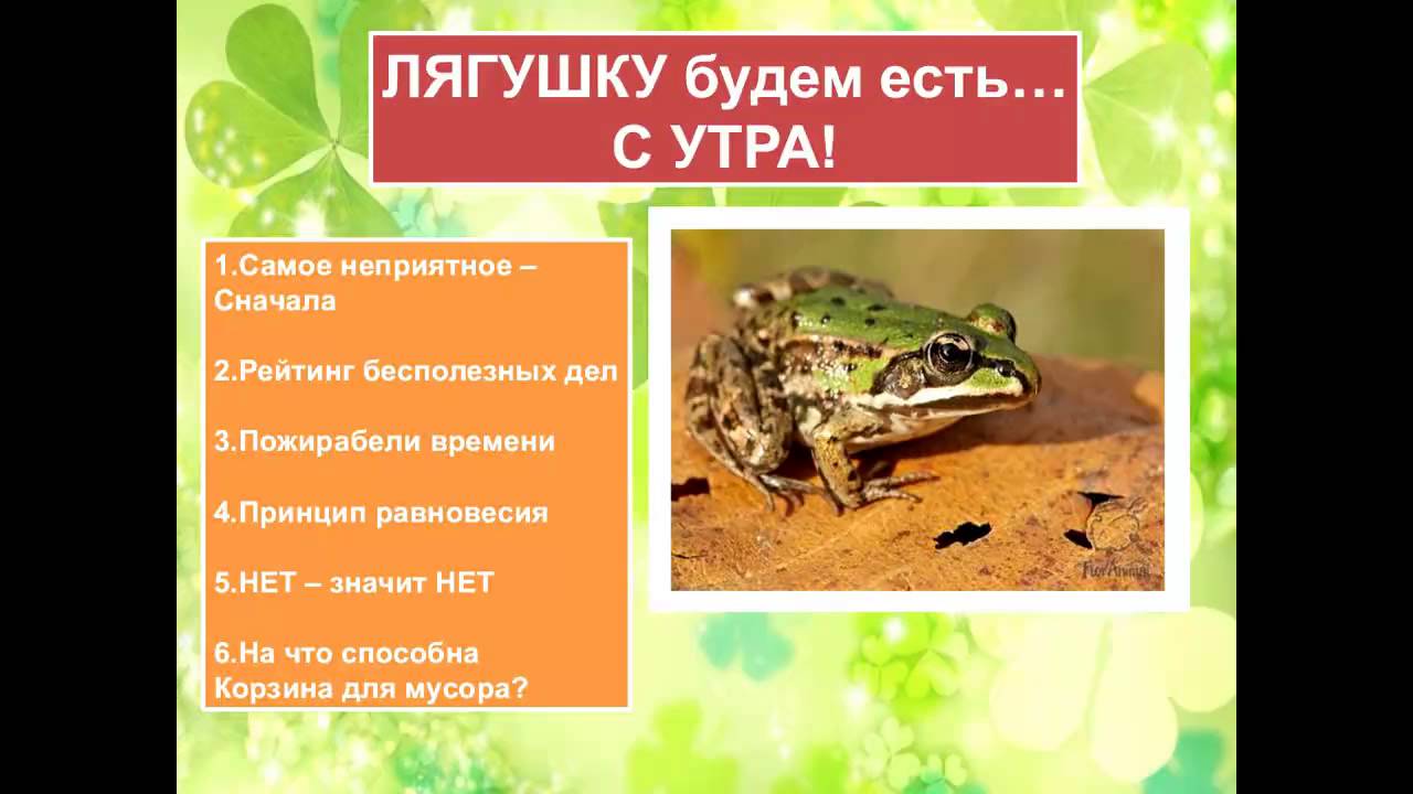 лягушка тайм менеджмент. дела слоны и лягушки. съесть лягушку. метод съешь лягушку в тайм менеджменте. внешнее строение земноводных 7 класс биология лягушка.
