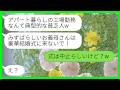 【LINE】夫が他界してから20年間女手一つで必死に育てた息子の嫁「みすぼらしい母親は結婚式に来るなw」私「式は中止らしいけど？w」→貧乏人嫌いの嫁の末路…www