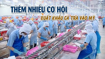 Cá tra Việt Nam tăng tốc xuất khẩu, khẳng định chất lượng và uy tín | VTV CẦN THƠ