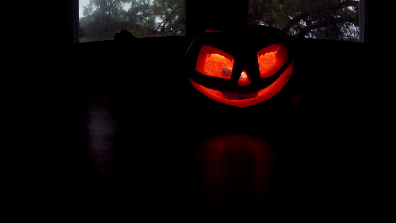 Guy Fieri, Food network, Diners drive in and dives. Minneapolis MN