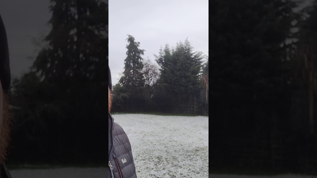Daily Vlog 073 #shorts #breakingthechain