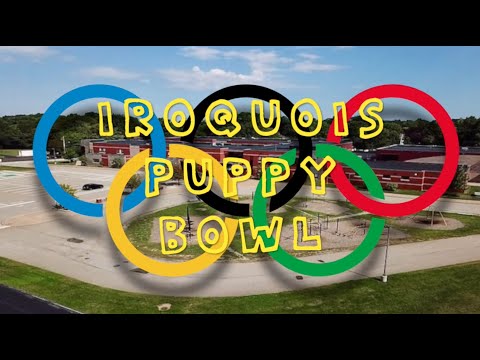 Iroquois Elementary School Puppy Bowl