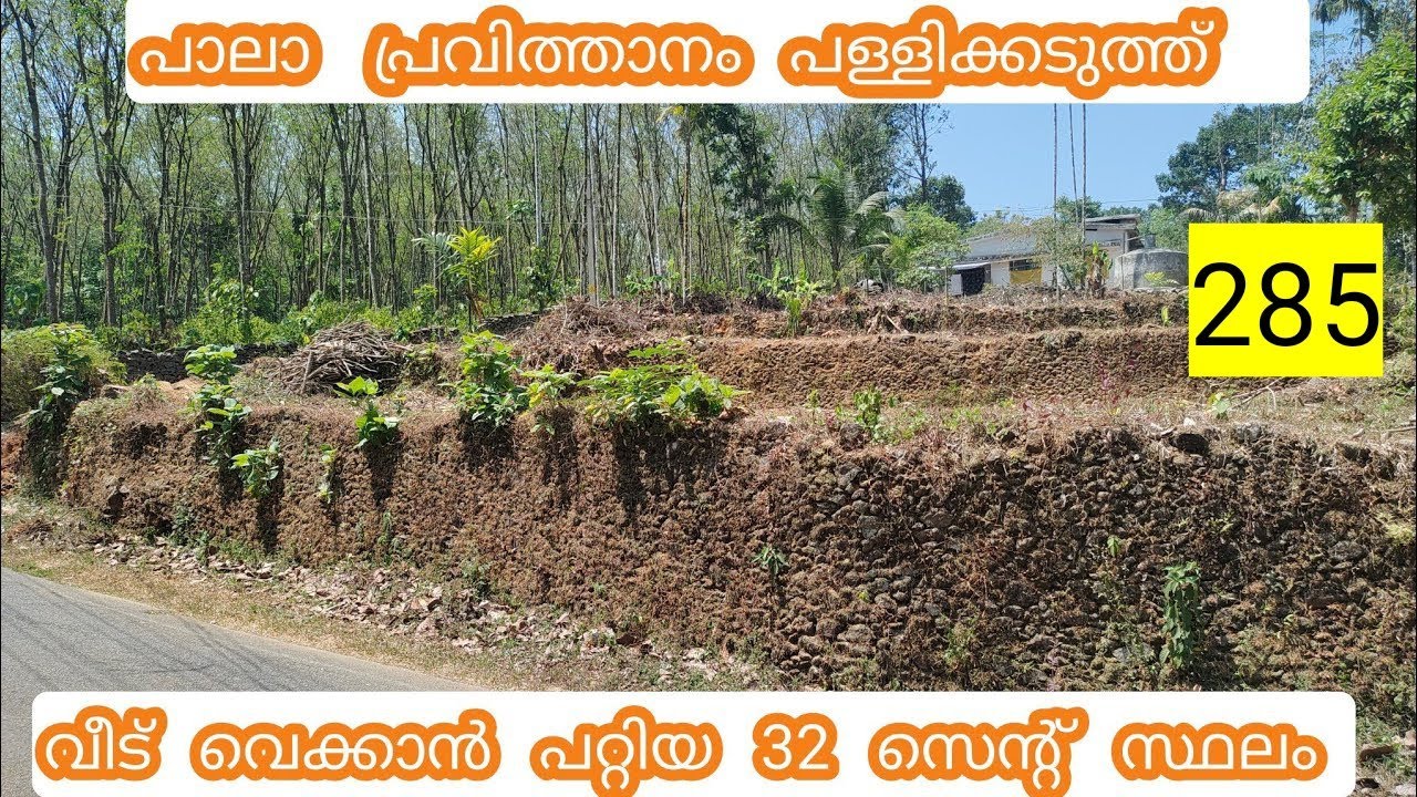 32 cent land for sale in pala pravithanam landforsale ploforsale 