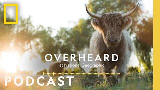 Farming for the Planet | Podcast | Overheard at National Geographic