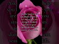 Lord, I ask for your help in blooming where I’m planted. #bloomwhereyouareplanted #faithinaction