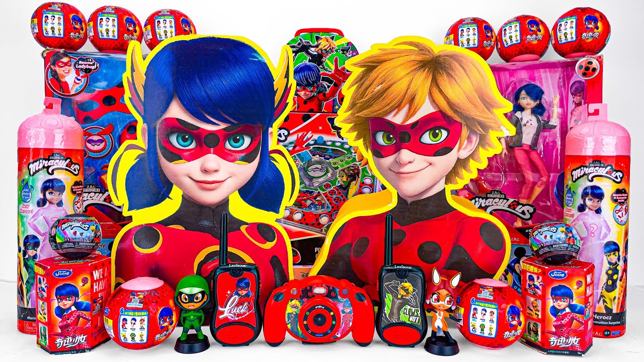 Miraculous Ladybug Toys Collection ASMR Unboxing Review | Mystery Cat Noir & Ladybug Figure