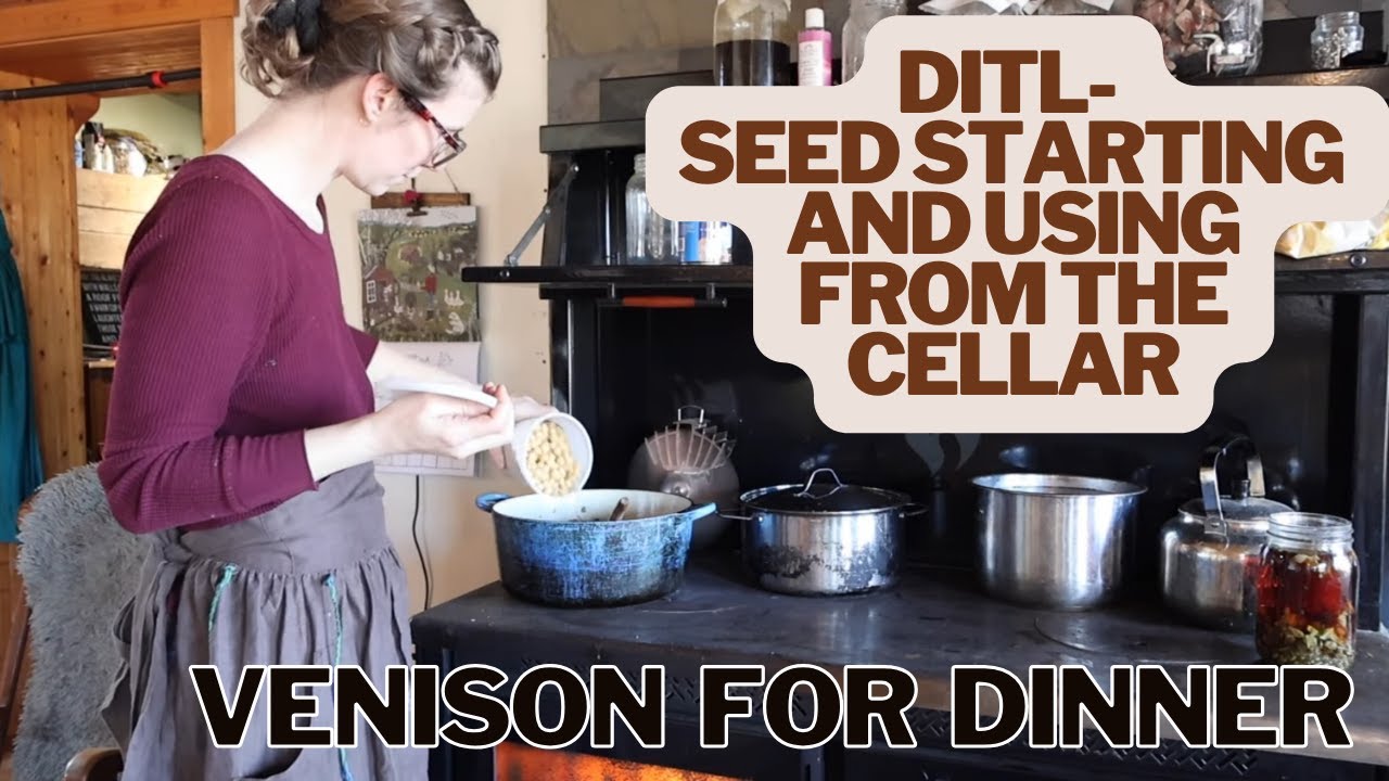 DITL- Seed Starting and Using From The Cellar - YouTube