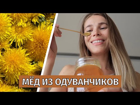 Видео: Мёд из одуванчиков | рецепт | веган, без глютена, без пчёл и очень вкусно