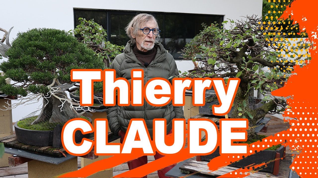 THIERRY CLAUDE BONSAÏ KA