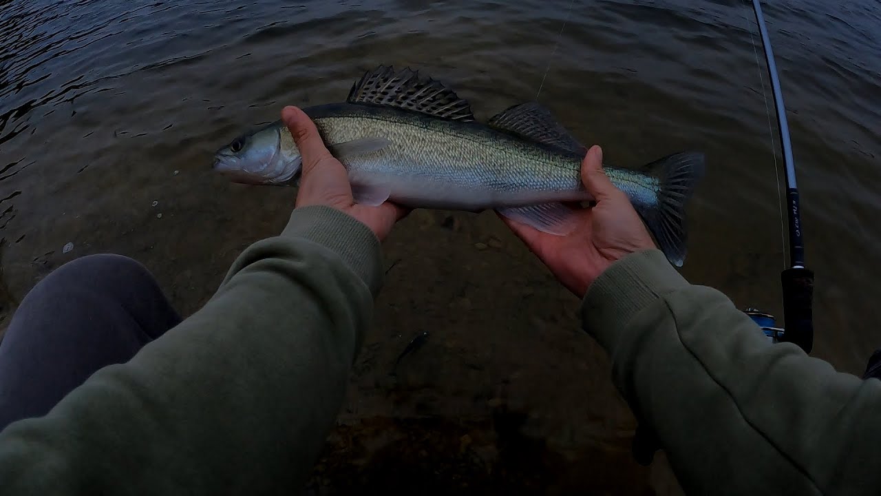 Zbiornik zaporowy Besko(Sieniawa) i stawy PZW Polanka