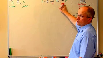 Adsorption Kinetics (for Enzymes) Do it Yourself Guide