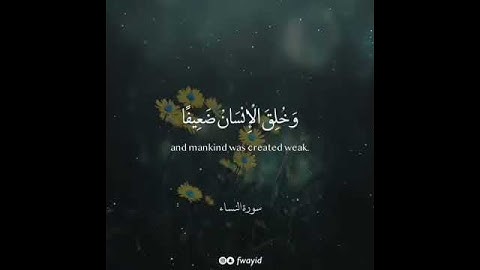 قران كريم القارئ الشيخ احمد النفيس & لحالات الواتس اب دينية HD