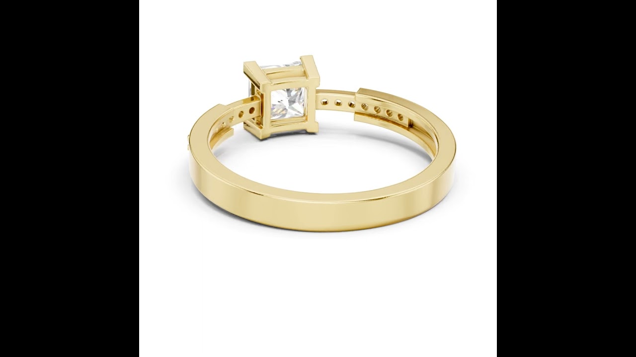 Princess Cut Diamond Channel Pave Set Ring