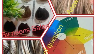Hair color theory class ❓ Answer (And difference between Highlights and Lowlights)./By neens Salon/.