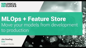 MLOps with a Feature Store