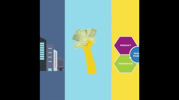 Market Segmentation (Marketing Strategy)