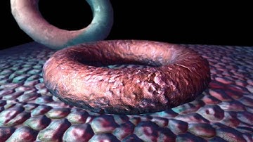 Realtime Rendering: Final Demonstration