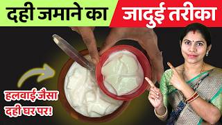 हलवाई जैसा गाढ़ा दही घर पर कैसे जमाएं 🚀 | Dahi Jamane Ka Sahi Tarika | How To Make Curd at Home