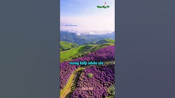 có những chuyện không nên nghe | bài học cuộc sống #shorts #baihoccuocsong