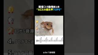 カエルとは思えない鳴き声TOP5 🐸🔊