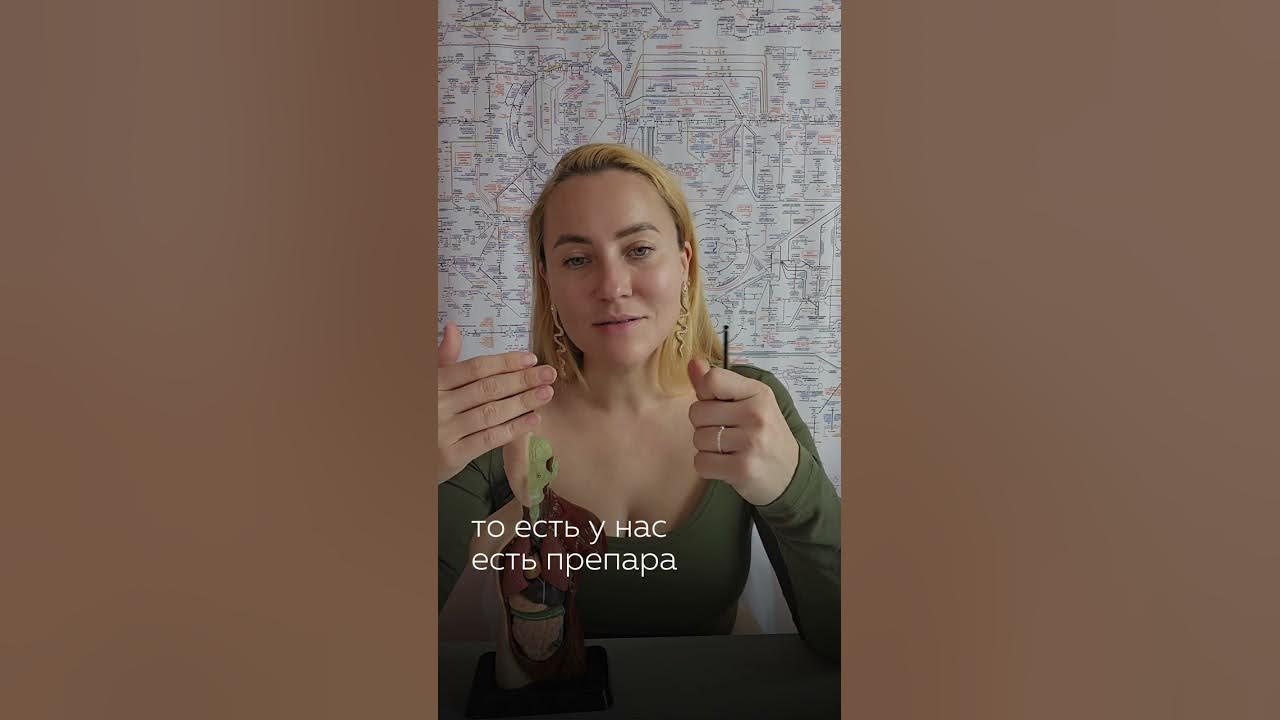 Какие толки. Какие толки
