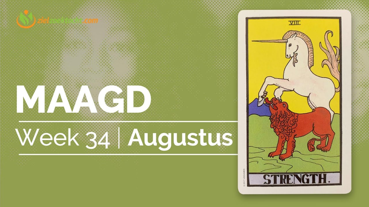 MAAGD  Week Tarot Kaartlezing  💝 WEEK 34 🙏 Wekelijkse Horoscoop Augustus 17   23🌟