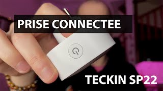 Présentation De La Prise Connectée Teckin Sp22 Kael Went