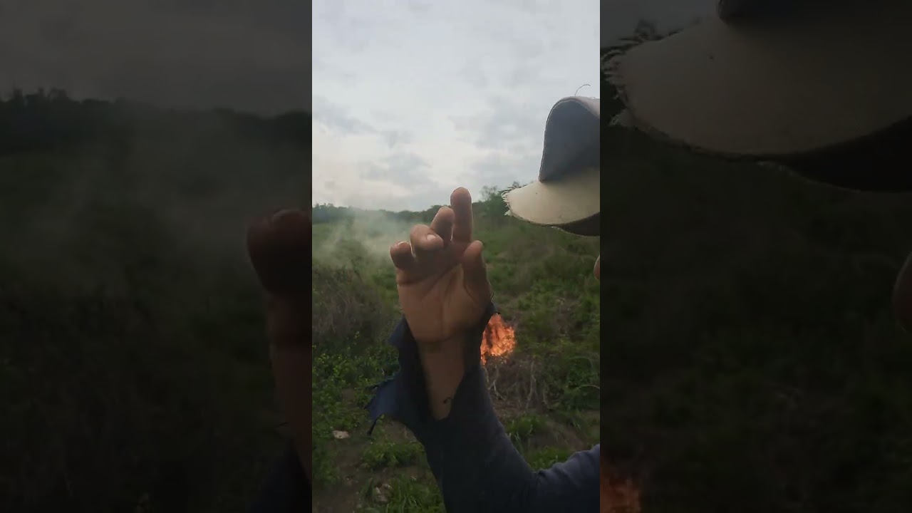 Butando  fogo 🔥  nas coivara  