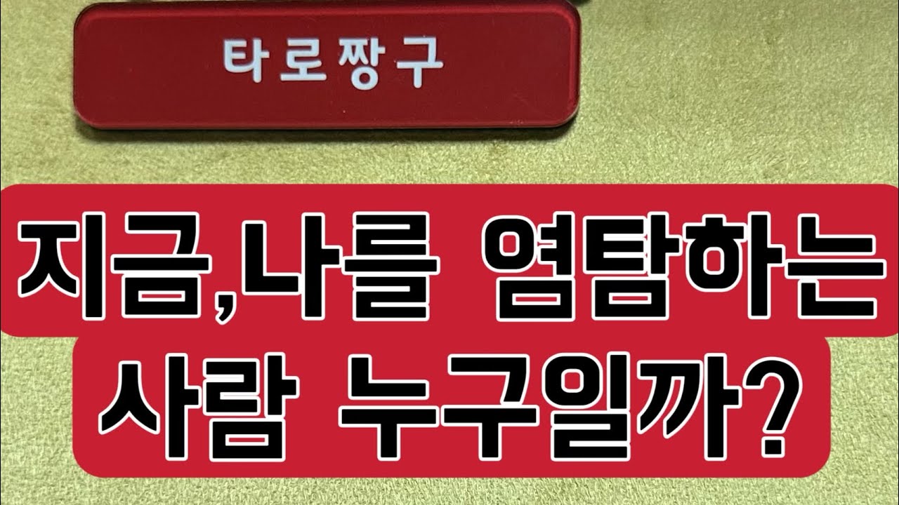 [타로짱구] 희망고문 없는 현실직시 타로