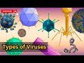Understanding Viruses