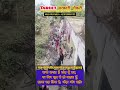 Target सरकारी नौकरी #biharpolice #mtscurrentaffairs #viralvideo #upsc