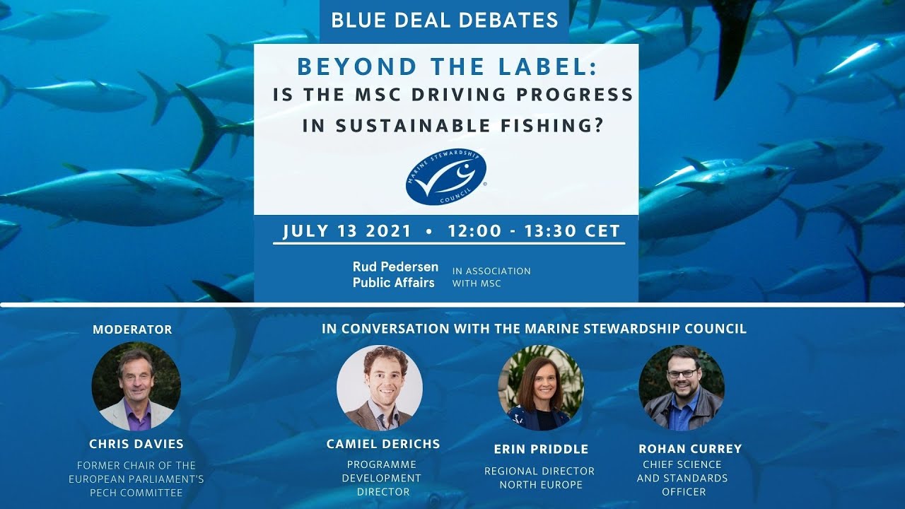 Beyond the label: Is the MSC driving progress in sustainable fishing?