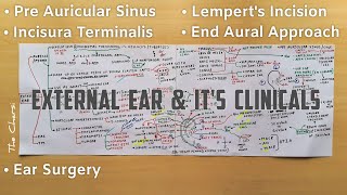 External Ear - 2, Auricle ( Lempert's Incision, Incisura Terminalis, Pre Auricular Cyst ) | TCML