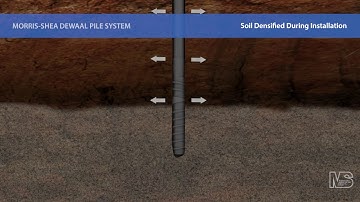 Morris-Shea DeWaal Pile Animated Video Short