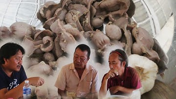 plab  qaib kib เมนูกึนไก่