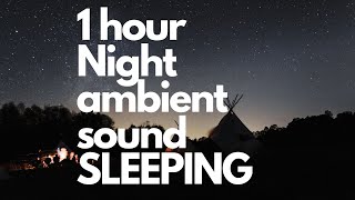 Night Ambient Sounds Cricket 1 hour Relax, Sleep, Meditate, Study. Surprising!